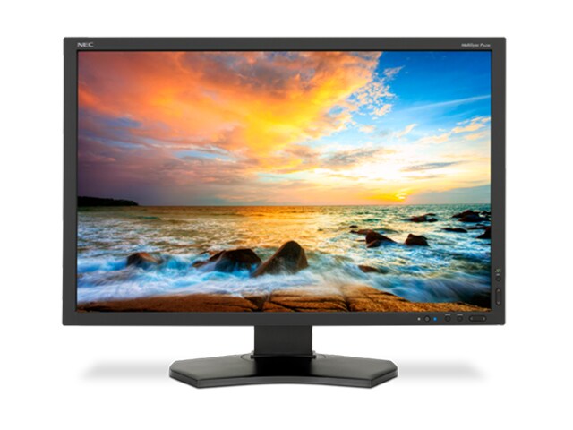 NEC MultiSync P242W BK 24â€� Professional LCD IPS Full HD Monitor Black