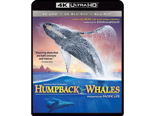 Humpback Whales 4K UHD Blu ray