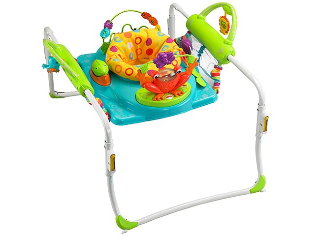 Fisher PriceÂ® First Steps Jumperoo