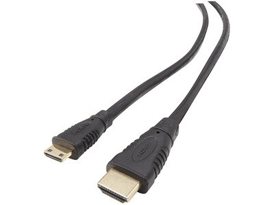 Nexxtech 1.8m (6') HDMI A to HDMI Mini C Cable