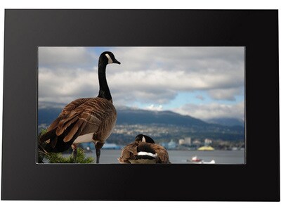 Fluid 7" LCD Digital Picture Frame