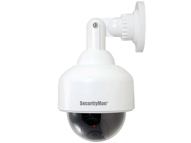 SecurityMan SM 2100 Dummy Indoor Outdoor Dome Camera