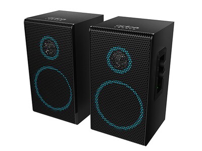 Arion Deep Sonar 100 Desktop PC Speakers