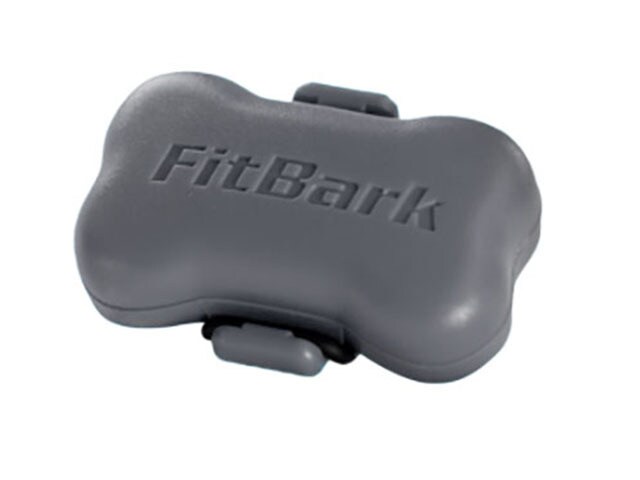 FitBark Wireless Dog Activity Monitor Rockstar Grey