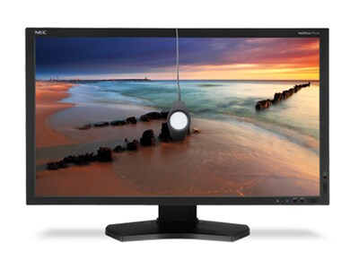 NEC MultiSync P232W-BK-SV 23” Widescreen Professional LCD IPS Full HD Monitor with SpetraViewII - Black