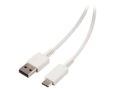 Câble de recharge USB à USB C de 1,4 m (4 pi) de VITAL - blanc