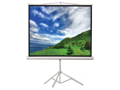 EluneVision EVTR84841.2-1:1 84" x 84" Tripod Projection Screen