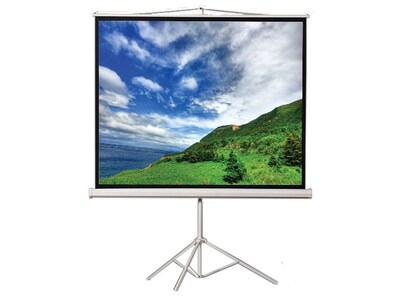 EluneVision EVTR100-1.2-4:3 100" Tripod Projection Screen