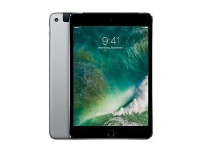 iPad mini® 4 à 32 Go d'Apple (2017) - Wi-Fi + cellulaire - gris cosmique