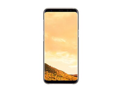 Samsung Galaxy S8+ Clear Cover - Gold
