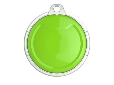 Poof Pea Pet Activity Tracker - Lime