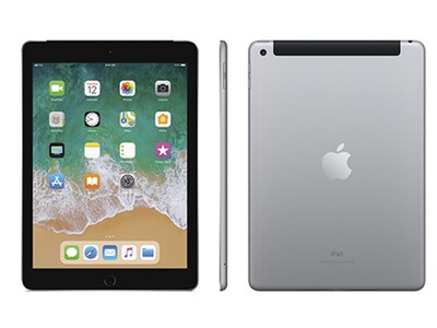 iPad 9,7 po à 32 Go d'Apple Wi-Fi + cellulaire - gris cosmique
