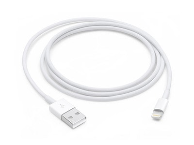 Câble Apple® Lightning à USB de 1m (3,3 pi)