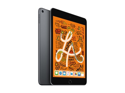 iPad Mini 5 à 256 Go, Wi-Fi d'Apple (2019) - gris cosmique