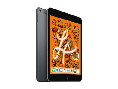 iPad Mini 5 à 265 Go, Wi-Fi à cellulaire d'Apple (2019) - gris cosmique