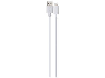 Câble USB C à USB A de 3 m (10 pi) de VITAL - blanc
