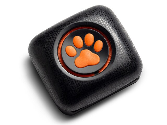 PitPat Dog Activity Monitor – Black & Orange