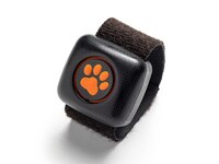 PitPat Dog Activity Monitor – Black & Orange