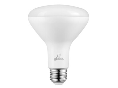 Globe 60W Equivalent Colour changing E26 Frosted LED Light Bulb
