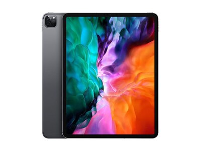 iPad Pro 12,9 po à 256 Go d'Apple (2020) - Wi-Fi + cellulaire - gris cosmique