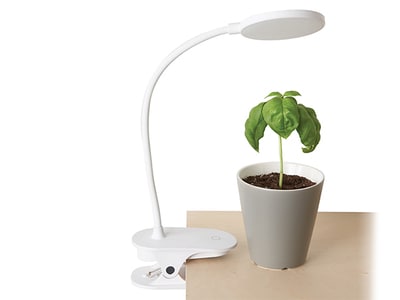 Lampe pour plante