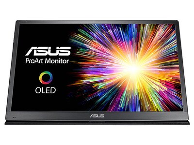 Asus ProArt PQ22UC 21.6” 4K OLED Monitor
