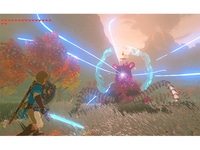 The Legend of Zelda: Breath of the Wild (Code Electronique) pour Nintendo Switch