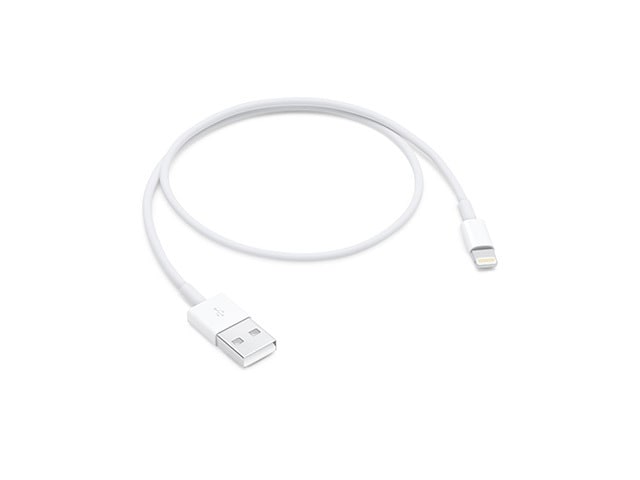 Apple ME291AM/A Lightning to USB Cable (0.5m)