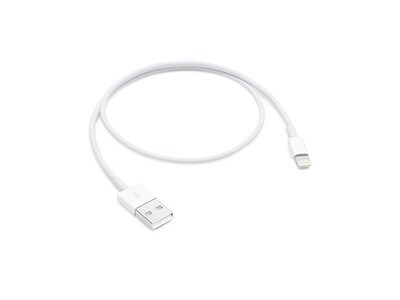 Câble Lightning vers USB ME291AM/A Apple (50 cm)