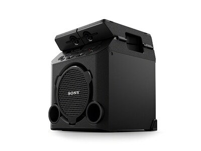 Sony GTK-PG10 Portable Wireless Bluetooth® Speaker - Black
