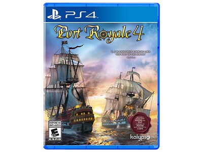 Port Royal 4 pour PS4