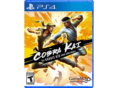 Cobra Kai for PS4