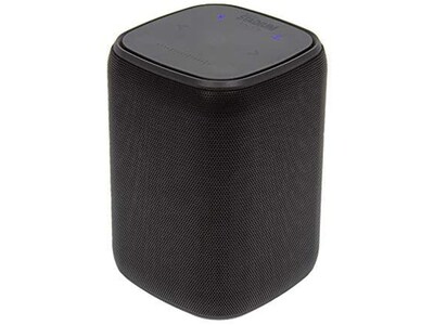 Rocksteady Stadium Portable Bluetooth® Speaker - Black