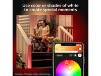 Philips Hue White & Colour Ambiance Discover Outdoor Fixture