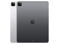 iPad Pro 12,9 po à 256 Go d'Apple® (2021) - Wi-Fi - argent