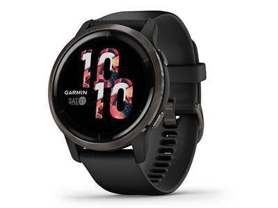 Garmin Venu 2 GPS Smartwatch - Black