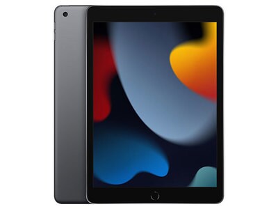 iPad 10,2 po à 64 Go d'Apple (2021) - Wi-Fi - gris cosmique