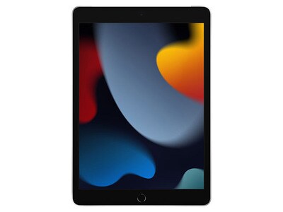 iPad 10,2 po à 256 Go d'Apple (2021) - Wi-Fi + cellulaire - argent