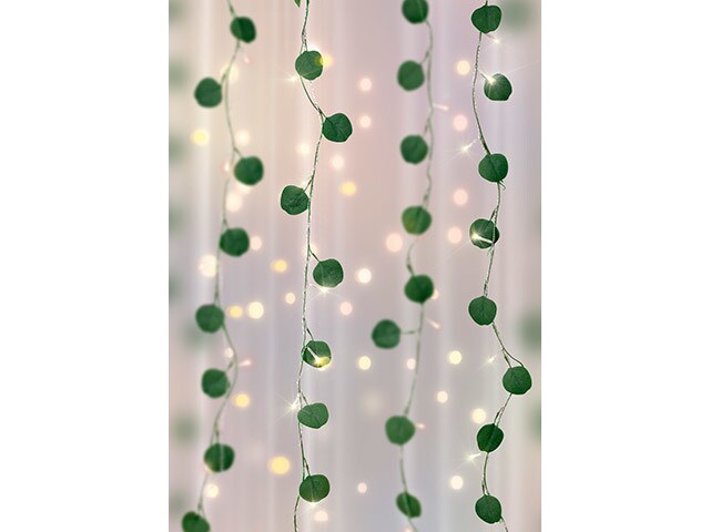 Merkury Innovations Eucalyptus Curtain Vine String Lights