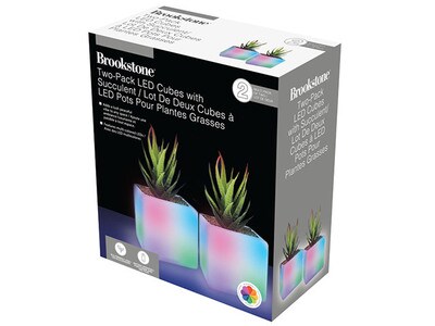 Brookstone LED Cube with Succulent - 2 Pack