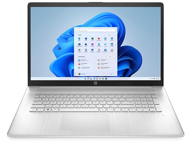 HP 17-cp2001ca 17.3" Laptop with AMD Ryzen 3 7320U, 1TB SSD, 8GB RAM & Windows 11 Home - Natural Silver
