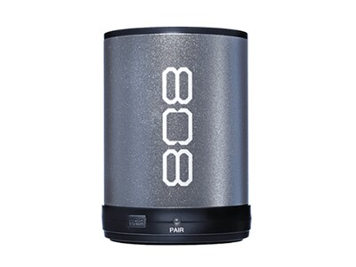 Haut-parleur Bluetooth portatif 808SL de 808 Audio- argent