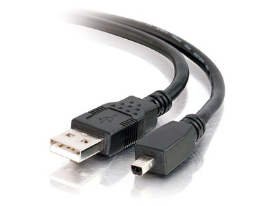 Câble USB 2,0 A à mini-B à 4 broches de 6 pi