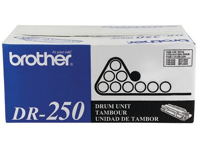 Tambour DR250 de Brother