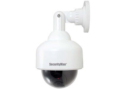 Caméra à dôme factice d'intérieur/extérieur SM-2100 de SecurityMan