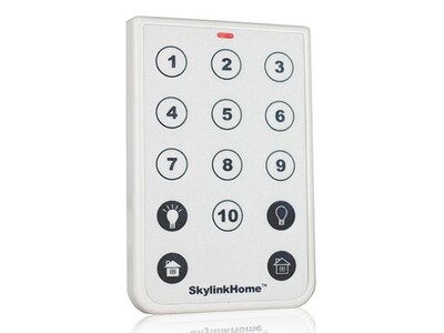 Télécommande de luxe à 14 boutons TC-318-14 de Skylink