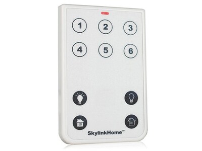 Télécommande de luxe à 10 boutons TC-318-10 de Skylink