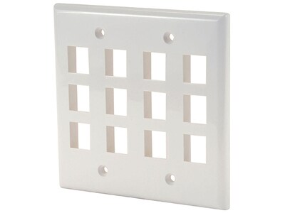 Digiwave DGA63171 Keystone Wall Plate - 12 Available Slots