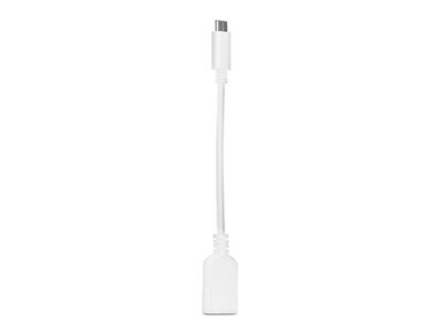 Adaptateur USB-C à USB-A LGX-11922 de Logiix - blanc