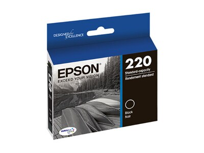 Epson T220120-S DURABrite Ultra Standard-Capacity Ink Cartridge - Black